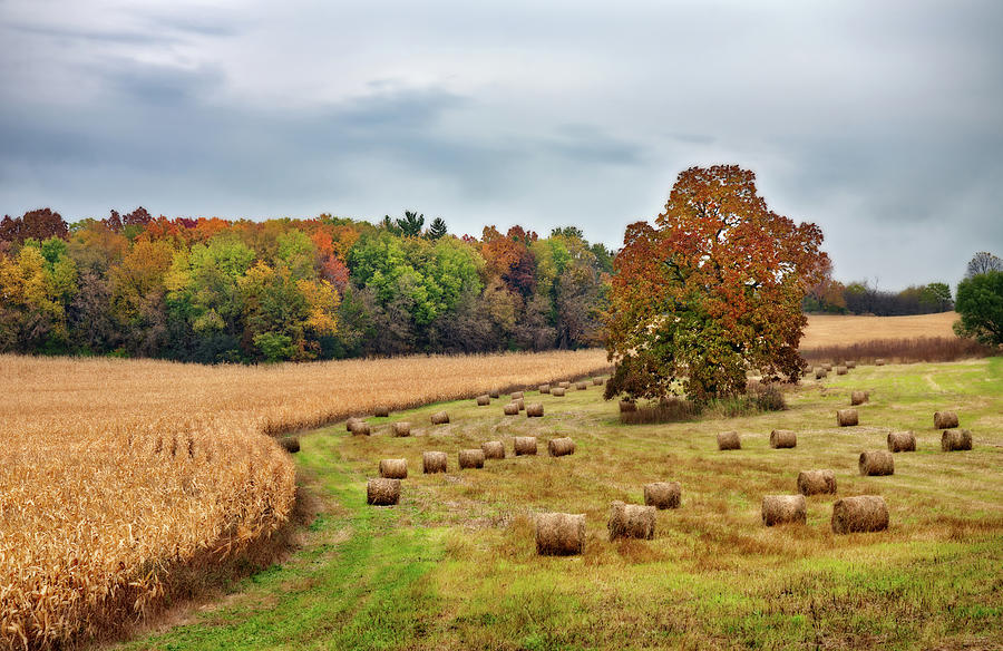 Wisconsin Autumnscape -  Haybales, ripe corn and autumn color in WI countryside Photograph by Peter Herman