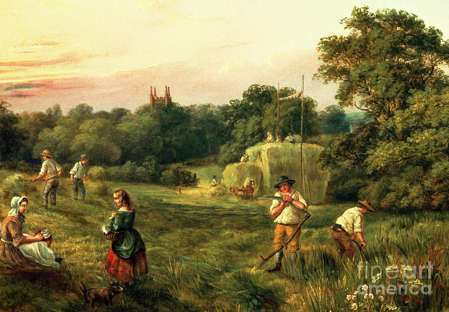 Haymaking in Matthews Field, Handsworth, 1859 Painting by William Ellis