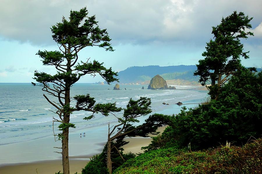 Haystack Rock from HWY 101 overlook Photograph by Brent Bunch