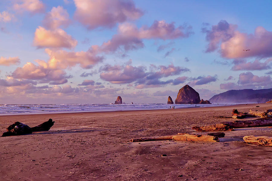 Haystack Rock Photograph by Loyd Towe Photography