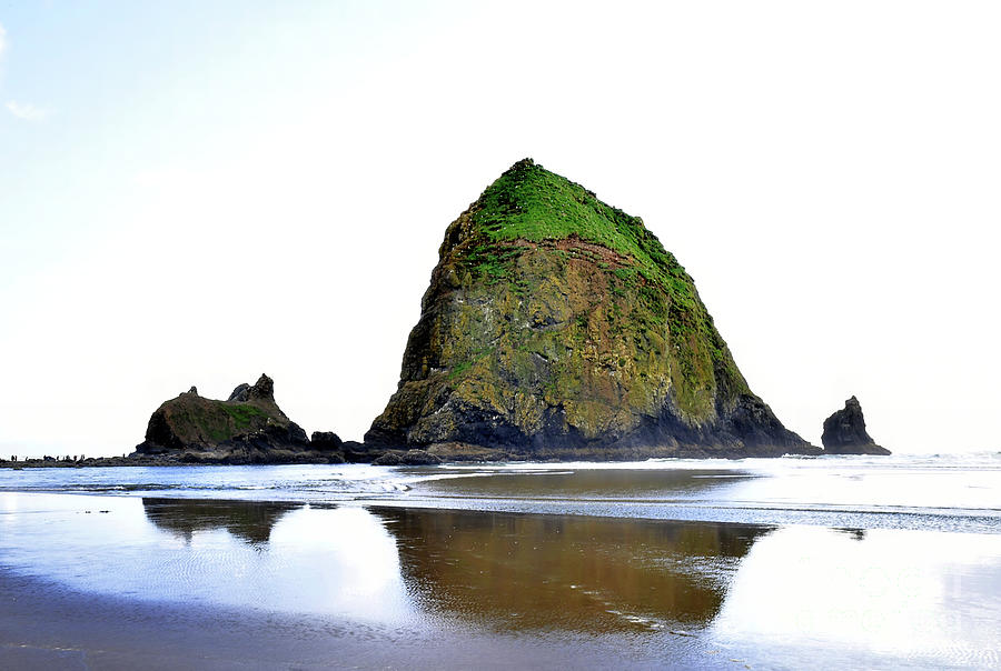 Haystack Rock - Northeast Face Photograph by Scott Cameron
