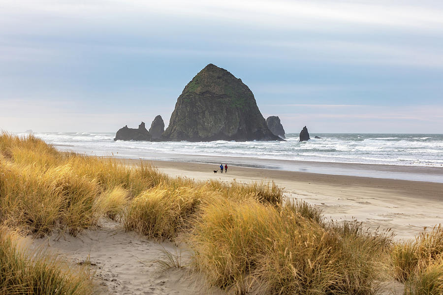 Haystack Rock with Grass Dunes Photograph by Mike Centioli