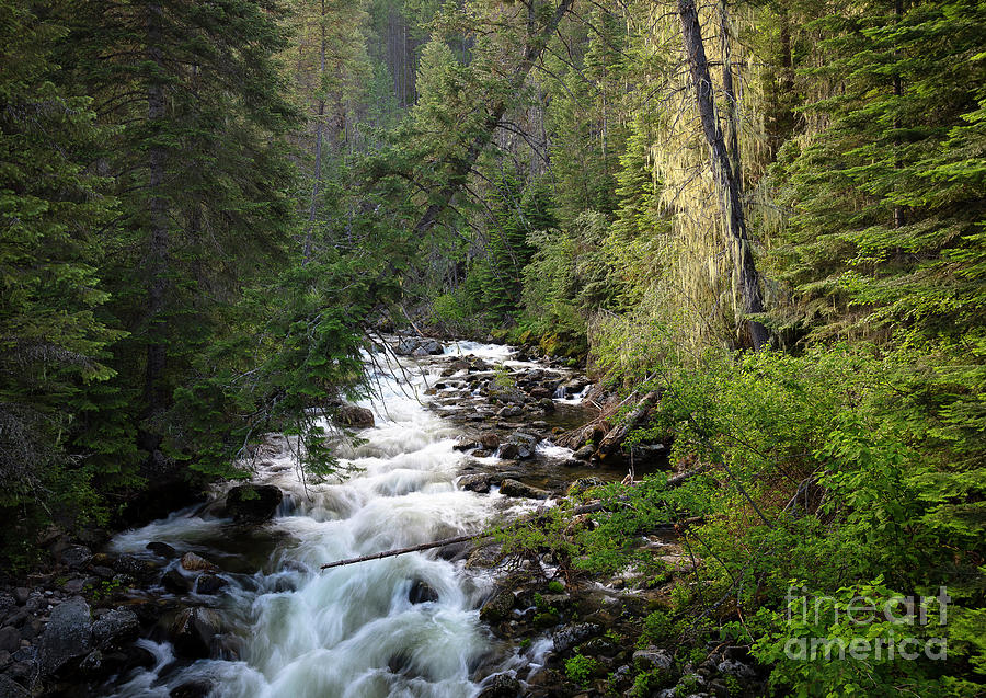 Nature Photograph - Hazard Creek by Idaho Scenic Images Linda Lantzy