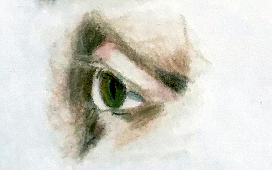 Hazel Eye Drawing by Marie Dudek Brown
