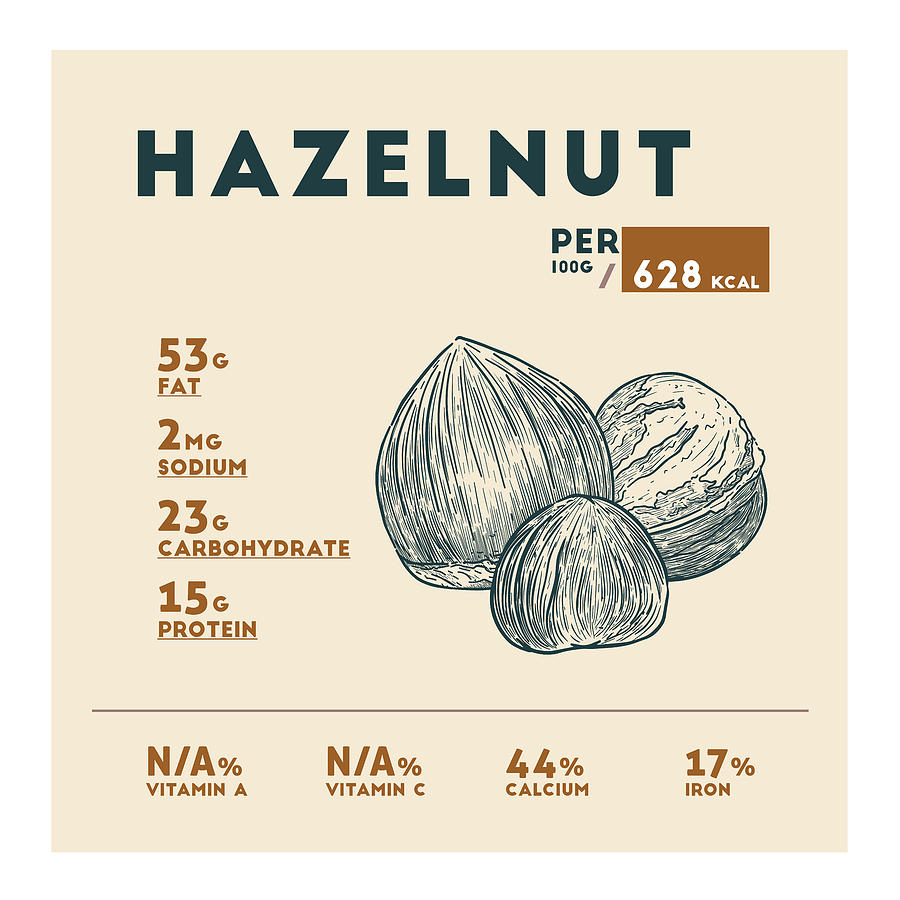 hazelnut-nutrition-facts-drawing-by-beautify-my-walls-pixels