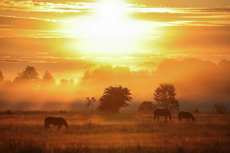 Hazy Horse Sunrise Photograph by Brook Burling