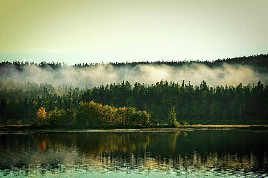Hazy morning at the shore of a glassy forest lake on a sunny aut Photograph by Ulrich Kunst And Bettina Scheidulin