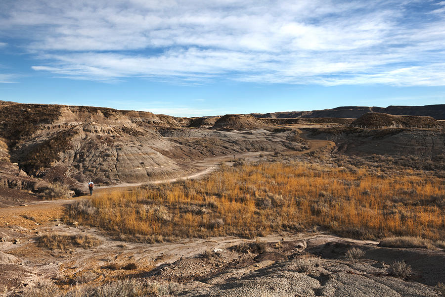 HDR Landscape of the Canadian Badlands, Alberta, Canada Photograph by Powerofforever