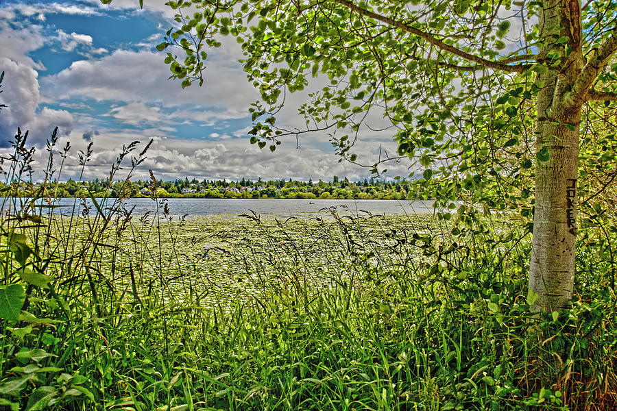HDR Minnesota Lake Photograph by Matthew Bamberg