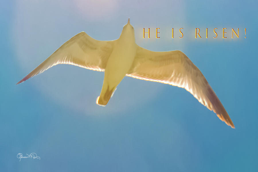 He Is Risen - Easter Card Photograph by Susan Molnar