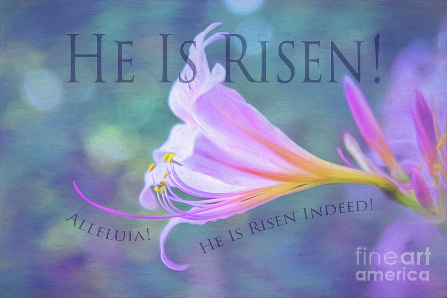 Nature Photograph - He Is Risen by Sharon McConnell