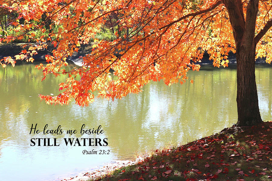 He Leads Me Beside Still Waters Photograph by Tammy Winburn Fine Art