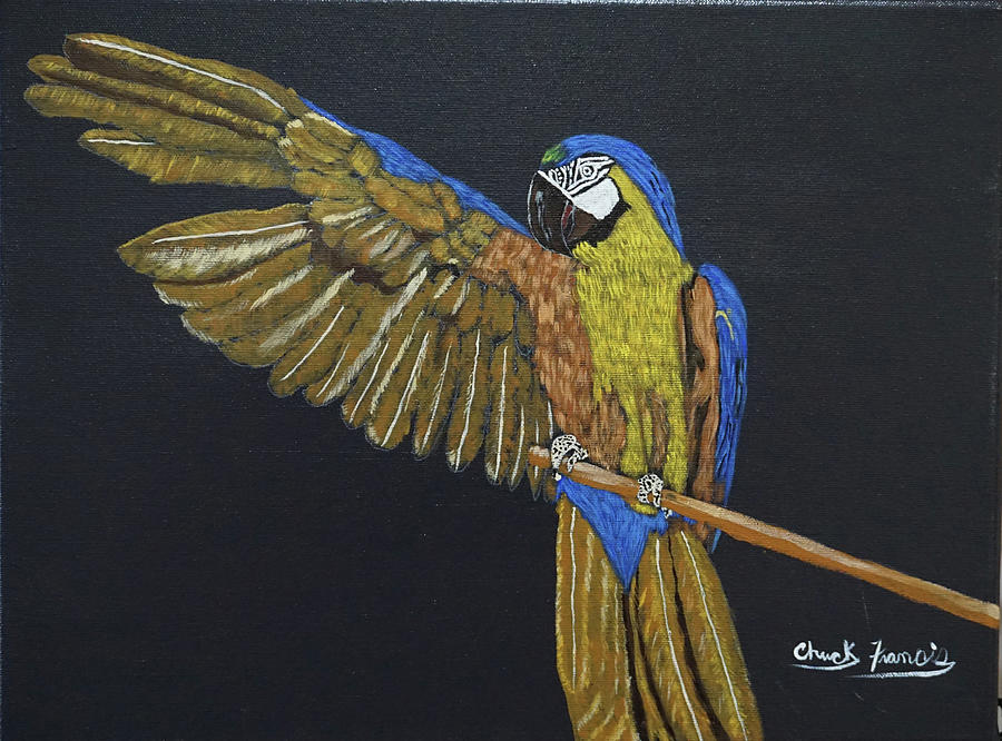 Macaw Painting - He Went That Away by Charles Francis