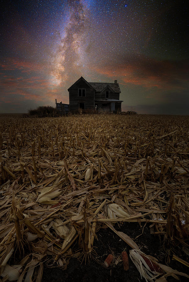 He Who Walks Behind The Rows Photograph by Aaron J Groen