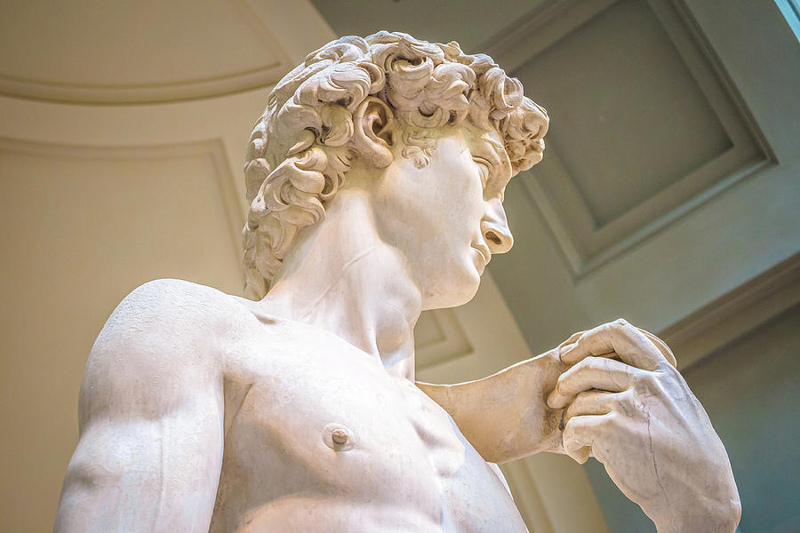 Head detail of Statue of David by Michelangelo Buonarroti  Photograph by Brch Photography