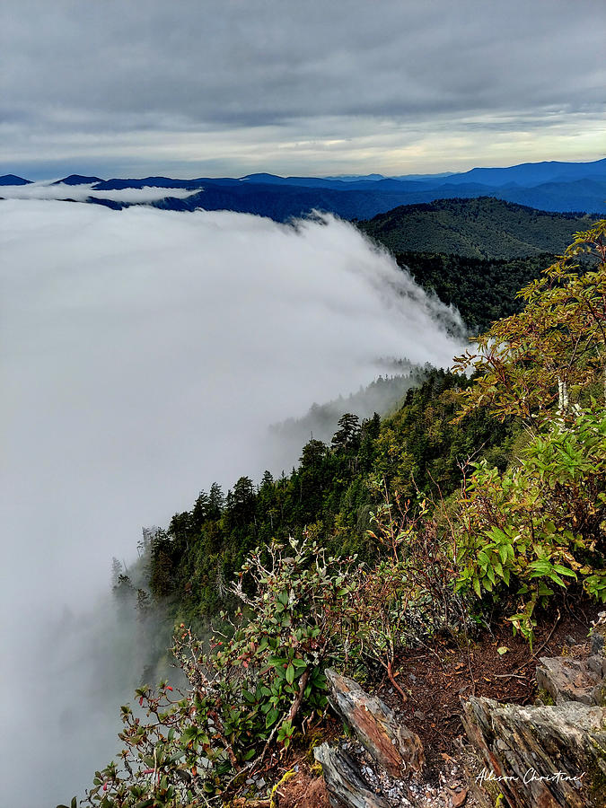 Head in the Clouds Photograph by Allison Christine - Fine Art America