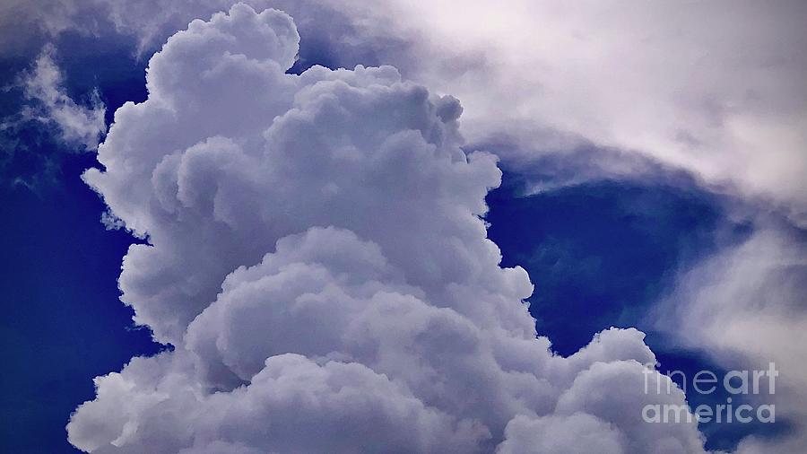 Head in the Clouds Photograph by J Hale Turner