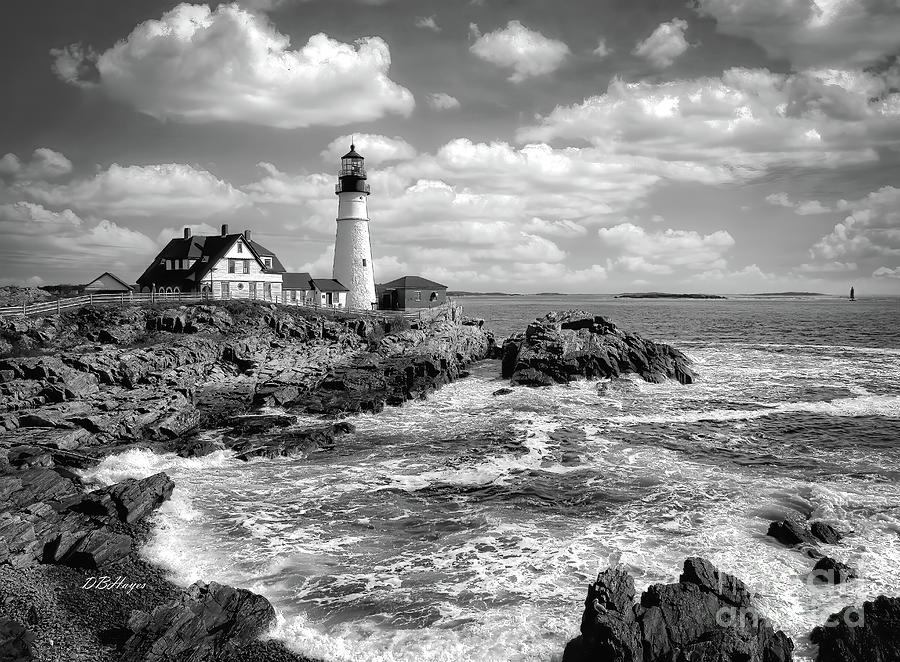 Head Light of Portland in B-W Photograph by DB Hayes