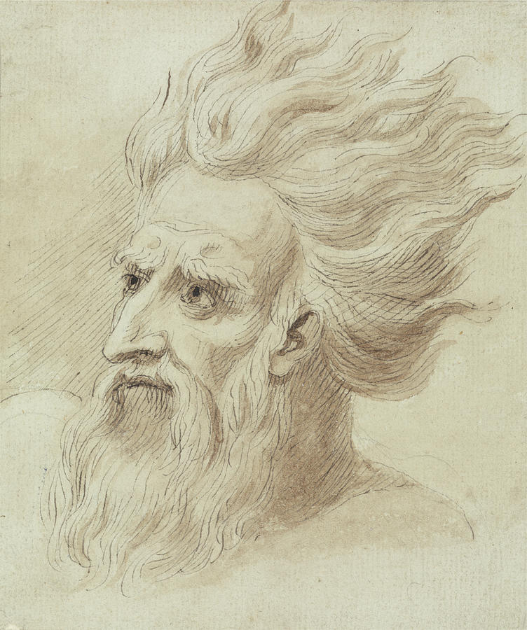 Head of a Man with a Beard and Long Hair in the Wind Drawing by Samuel De Wilde