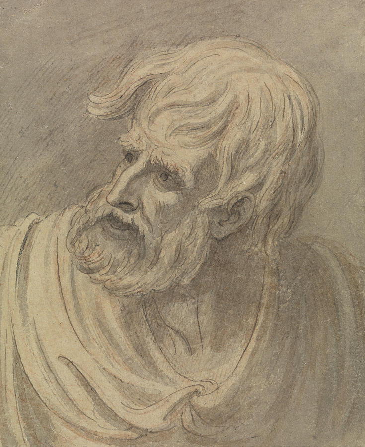 Head of a Man with a Beard Looking to the Left Drawing by Samuel De Wilde
