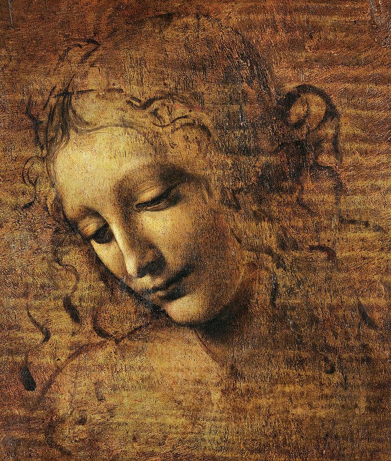 Leonardo Da Vinci Painting - Head of a Woman, 1508 by Leonardo da Vinci