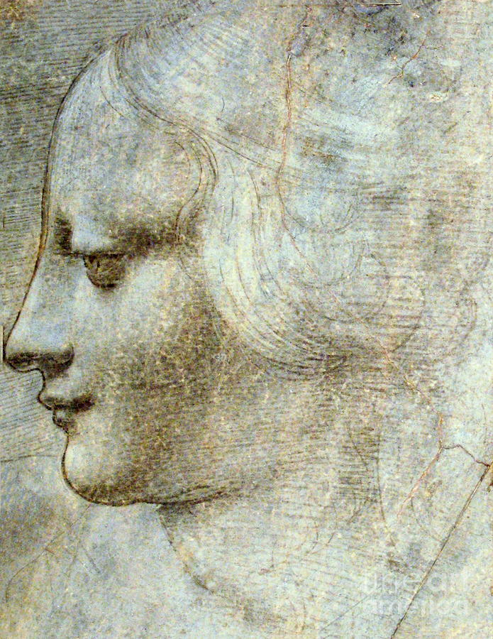 Head of a Woman in Profile Facing Left Painting by Leonardo da Vinci