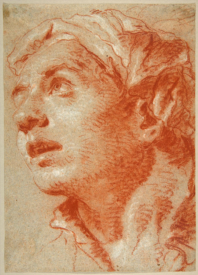 Head of a Young Man in Three-Quarter View Drawing by Giovanni Battista Tiepolo