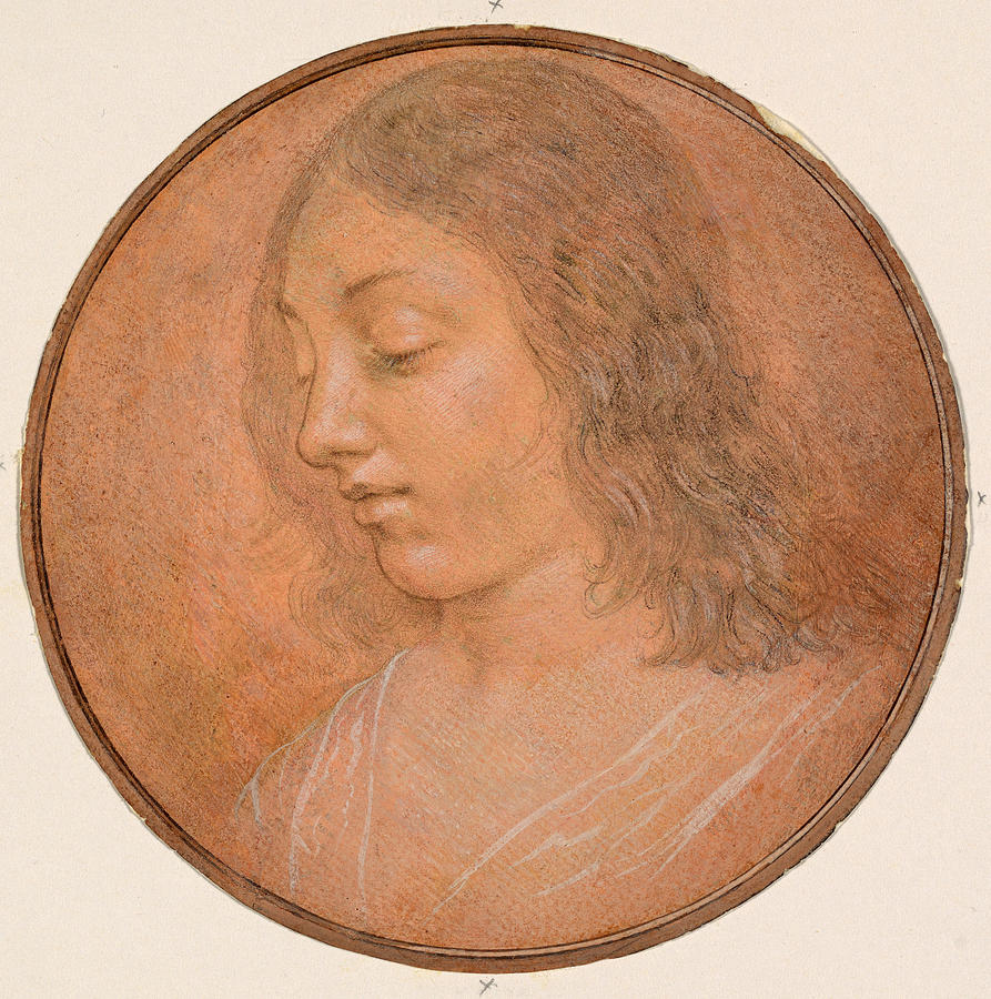 Head of a Young Woman Drawing by Attributed to Lorenzo di Credi