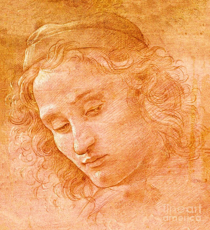 Head of a Youth Wearing a Cap Painting by Sandro Botticelli