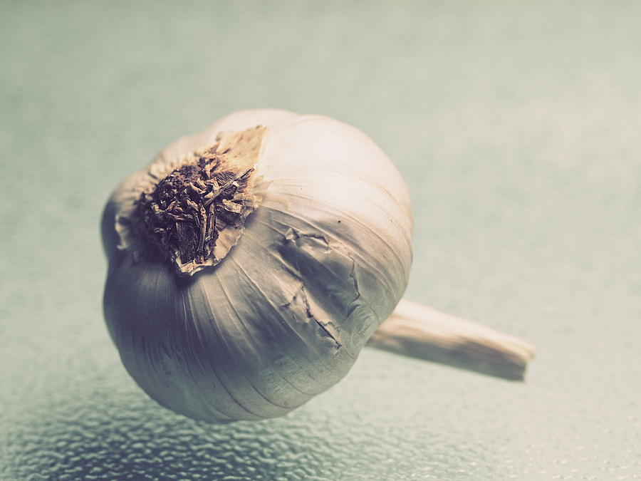 Head Of Garlic Photograph by Tom Druin