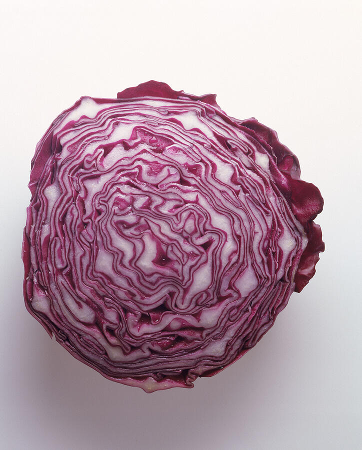 Head of red cabbage Photograph by Jackson Vereen