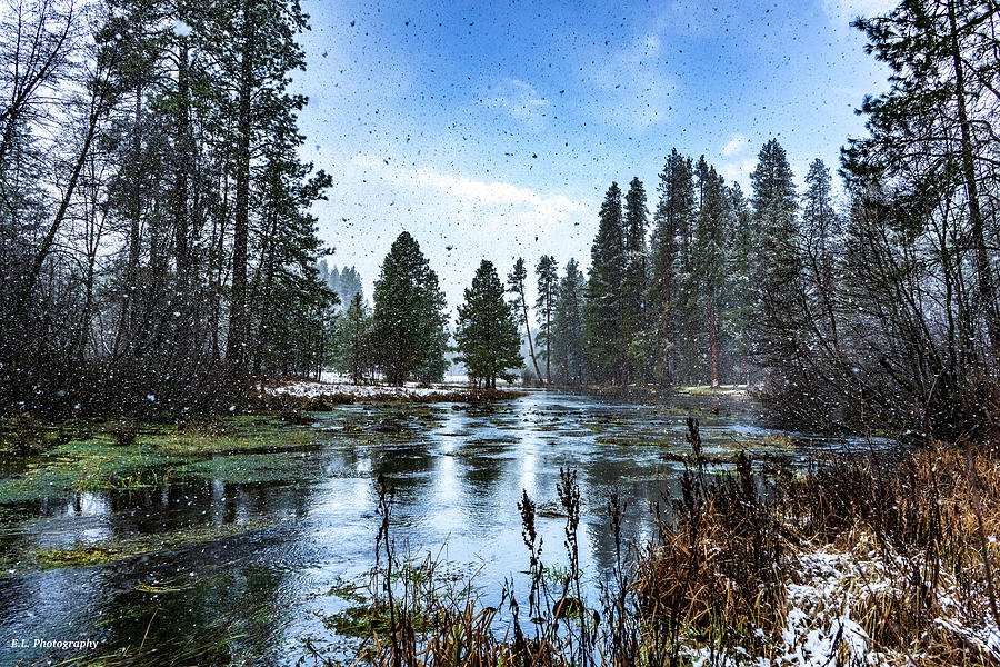 Head Of The Metolius River Photograph by Erin Lynne Photography