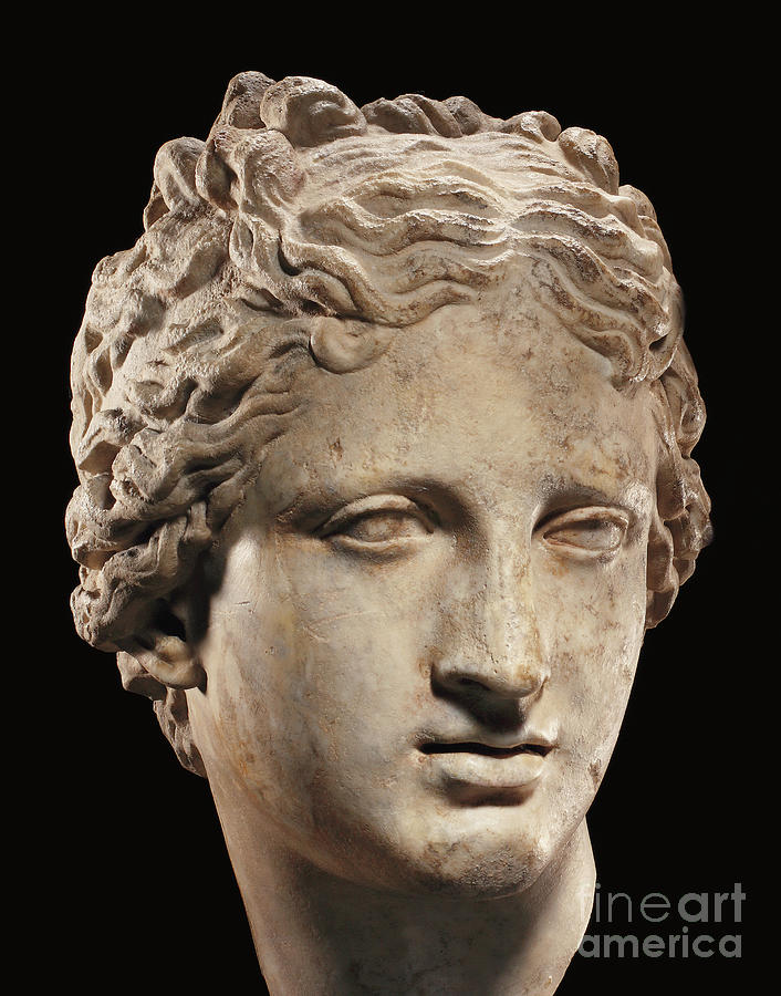 Head of Venus Sculpture by Roman School