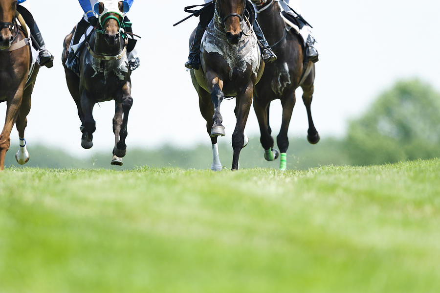 Head On Horse Racing on turf - Steeplechase Photograph by Cmannphoto