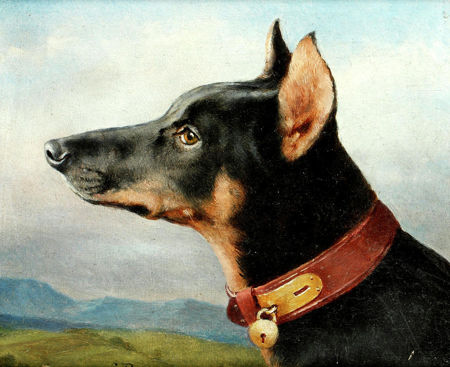 Dog Painting - Head study of a Doberman by Carl Reichert