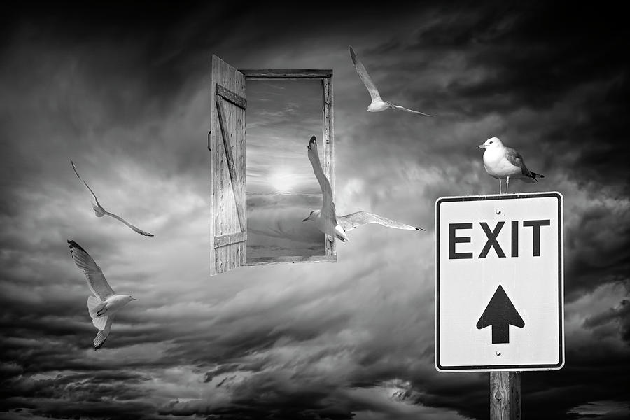 Heading for the Exit in Black and White Photograph by Randall Nyhof