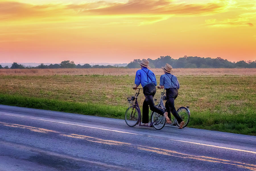 Heading Home at Sunset  Photograph by Susan Rissi Tregoning