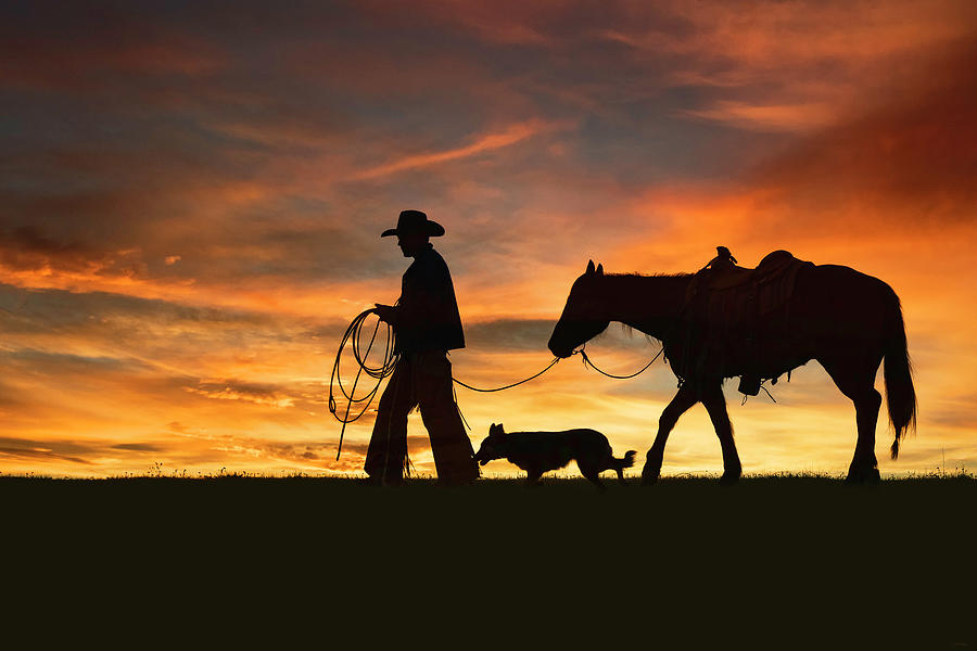 Cowboy Digital Art - Heading Home by Nicole Wilde
