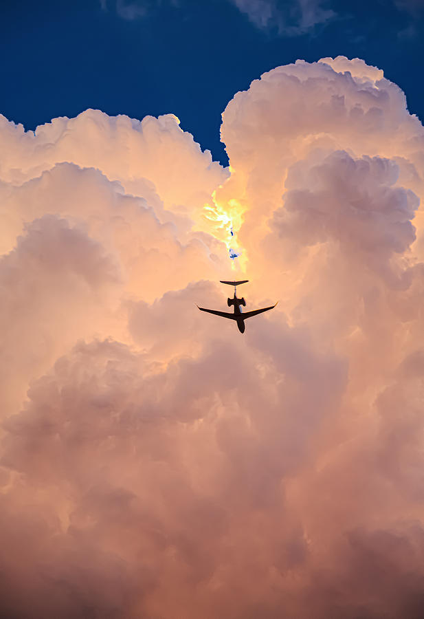 Headlong Flight Photograph by Terry Walsh