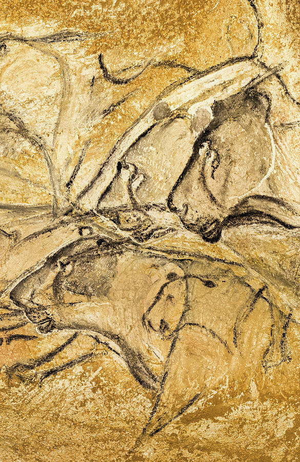 Prehistoric Painting - Heads of a Lions by Chauvet Cave