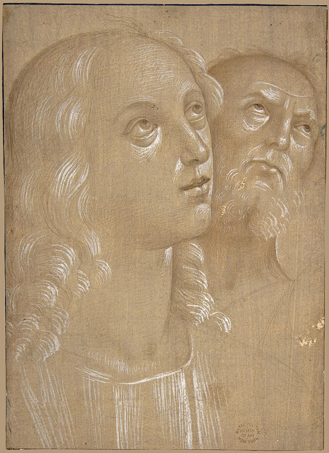 Heads of Two Saints Drawing by After Perugino