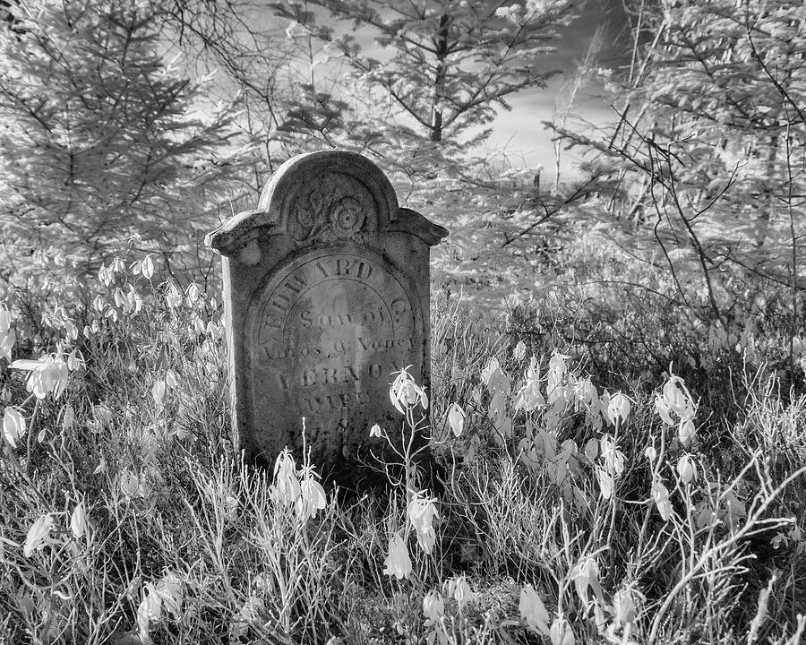 Headstone in the forest infrared Photograph by Murray Rudd