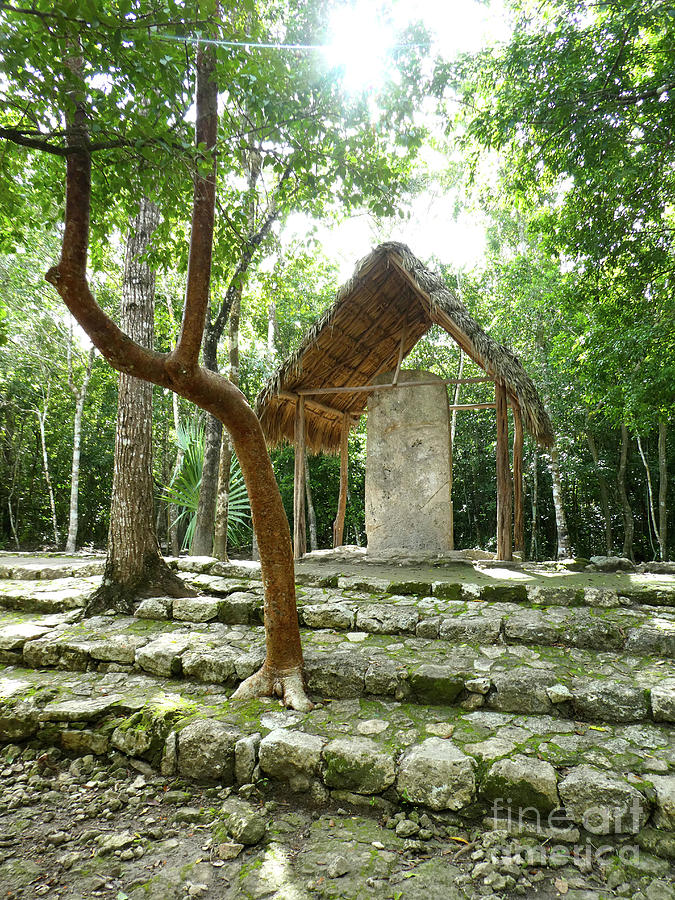 Headstone in the Jungle, Mexico Photograph by Francesca Mackenney