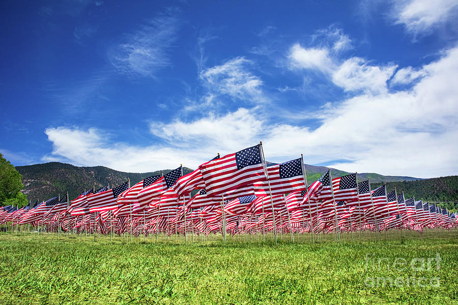 Healing Field of Flags Photograph by Elijah Rael