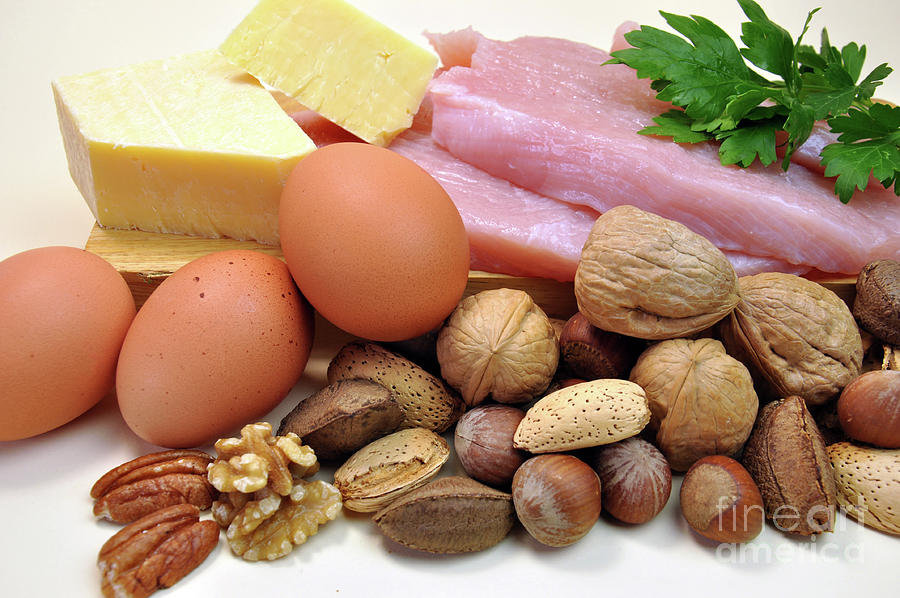 Healthy Diet Food Group Source Of Protein Photograph By Milleflore 9596