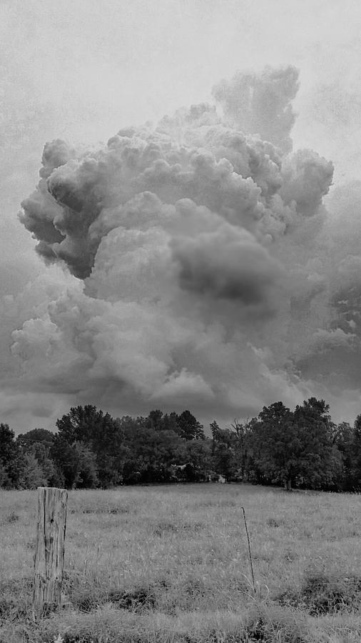 Healthy Little Updraft  Photograph by Ally White