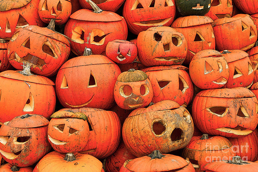 Heap Of Halloween Pumpkins Photograph