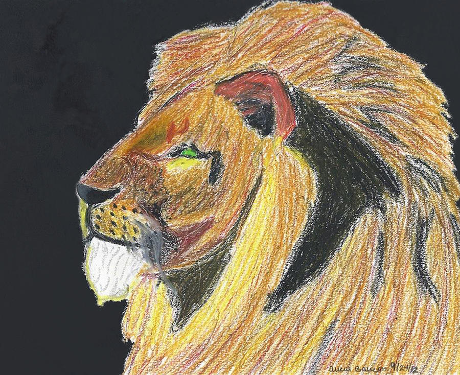 Majestic Lion Pastel Portrait, Hear me Roar Pastel by Ali Baucom