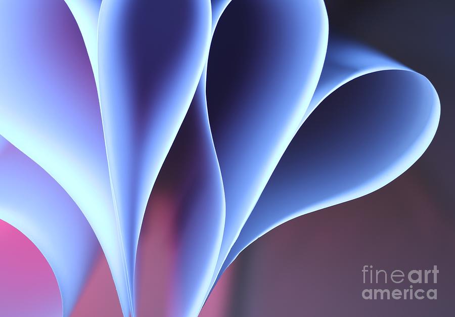 Heart Abstract Photograph Photograph By Ramona Bruner Fine Art America 