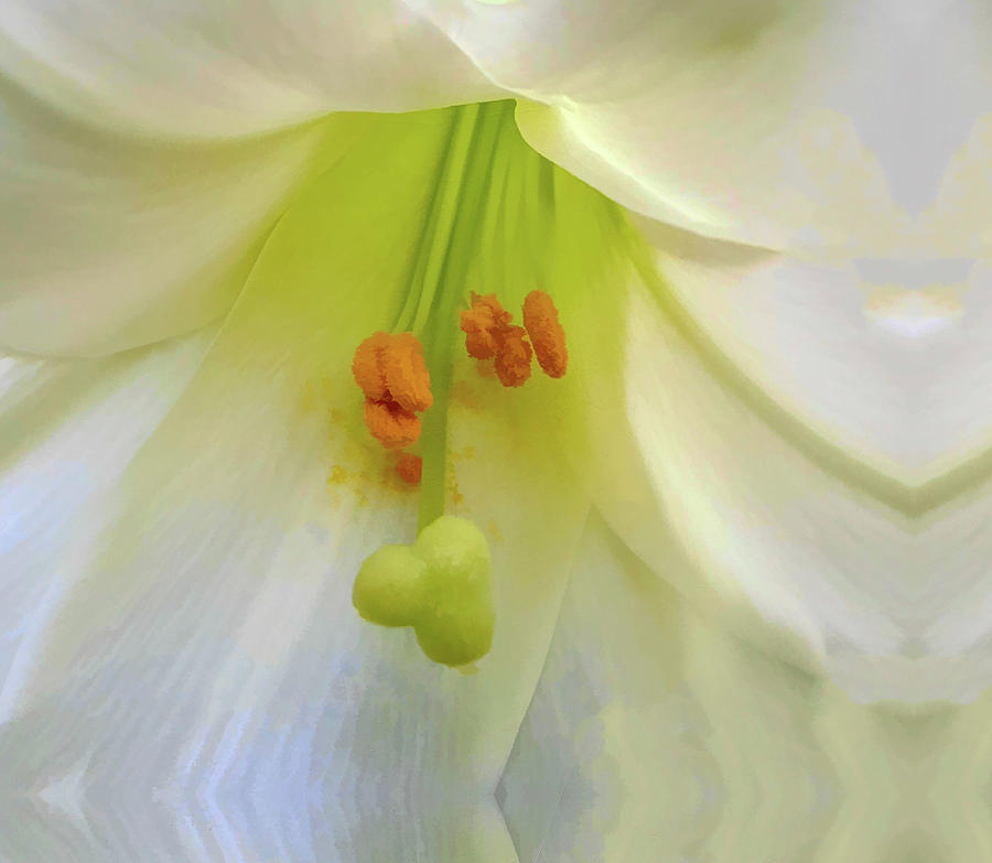 Heart and Soul of Lily Photograph by Roberta Byram